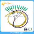 SC/APC singlemode 12 fiber cores fiber optic pigtail